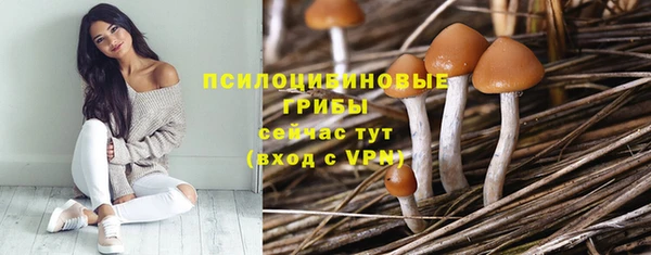 круглые Киреевск