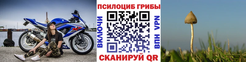 Галлюциногенные грибы ЛСД  Купить  Велиж 